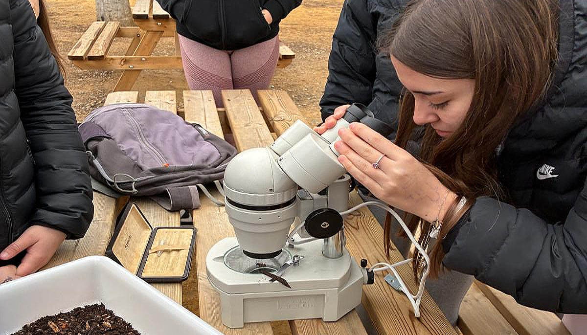 Imagen destacada del proyecto de ciencia ciudadana Huétorcompost.